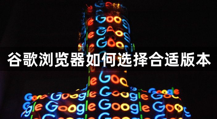 谷歌浏览器如何选择合适版本1