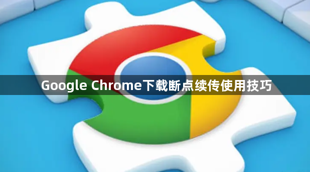 Google Chrome下载断点续传使用技巧1