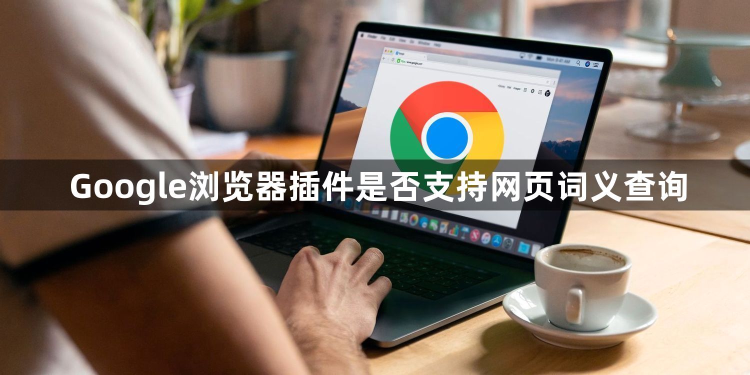 Google浏览器插件是否支持网页词义查询1