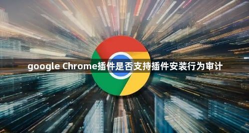 google Chrome插件是否支持插件安装行为审计1