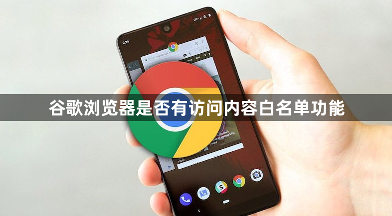 谷歌浏览器是否有访问内容白名单功能1