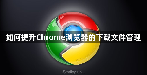 如何提升Chrome浏览器的下载文件管理1