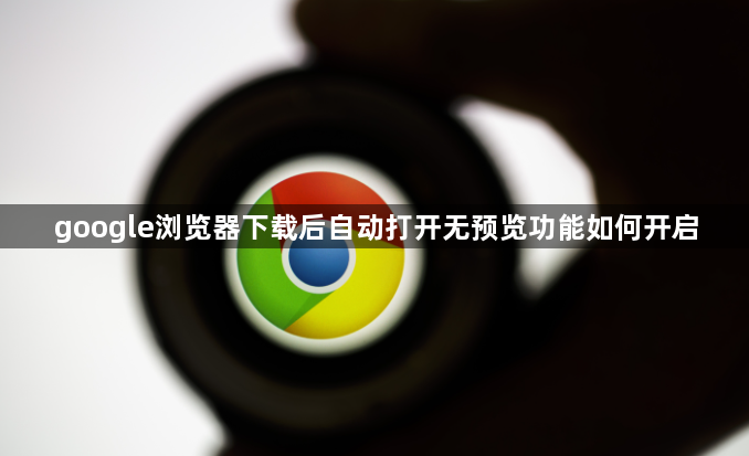 google浏览器下载后自动打开无预览功能如何开启1
