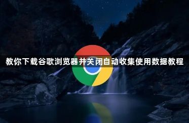 教你下载谷歌浏览器并关闭自动收集使用数据教程1