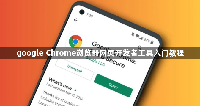 google Chrome浏览器网页开发者工具入门教程1