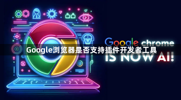 Google浏览器是否支持插件开发者工具1