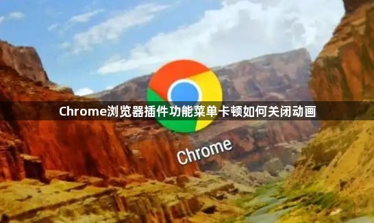 Chrome浏览器插件功能菜单卡顿如何关闭动画1