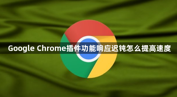 Google Chrome插件功能响应迟钝怎么提高速度1