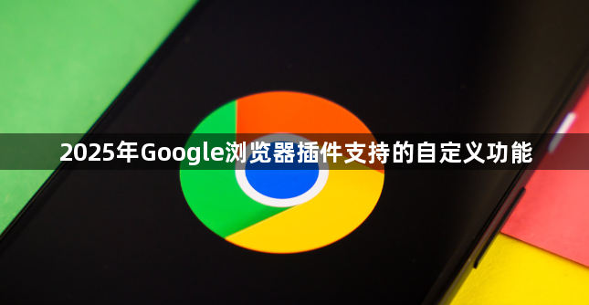 2025年Google浏览器插件支持的自定义功能1