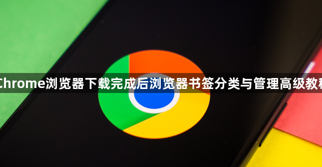 Chrome浏览器下载完成后浏览器书签分类与管理高级教程1