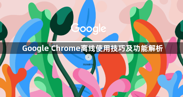 Google Chrome离线使用技巧及功能解析1