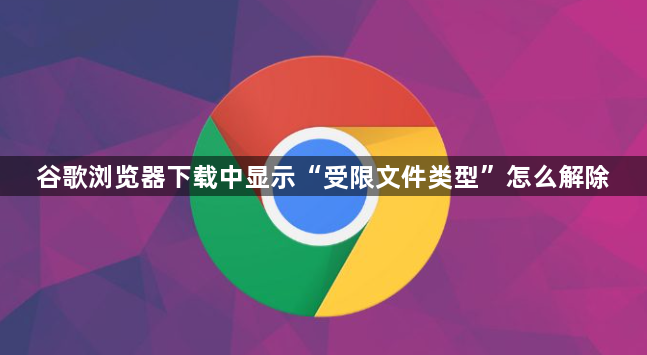 谷歌浏览器下载中显示“受限文件类型”怎么解除1