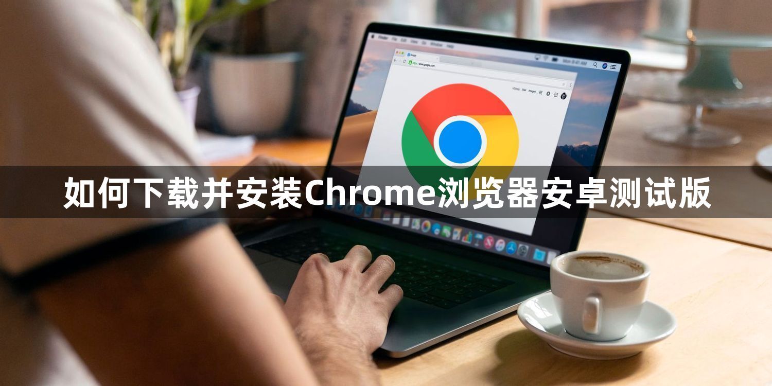 如何下载并安装Chrome浏览器安卓测试版1