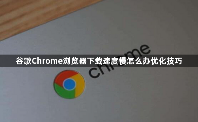 谷歌Chrome浏览器下载速度慢怎么办优化技巧1