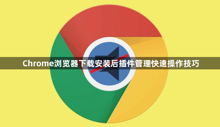 Chrome浏览器下载安装后插件管理快速操作技巧1