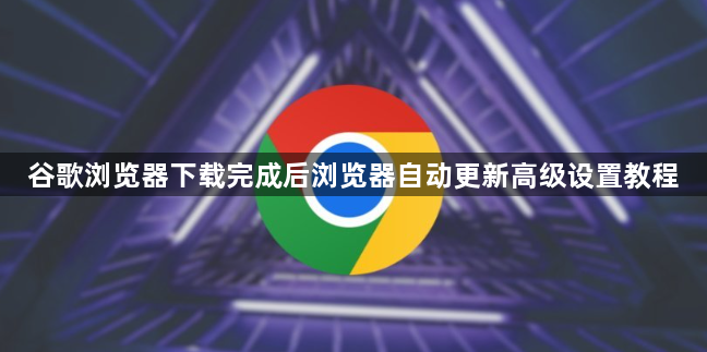 谷歌浏览器下载完成后浏览器自动更新高级设置教程1