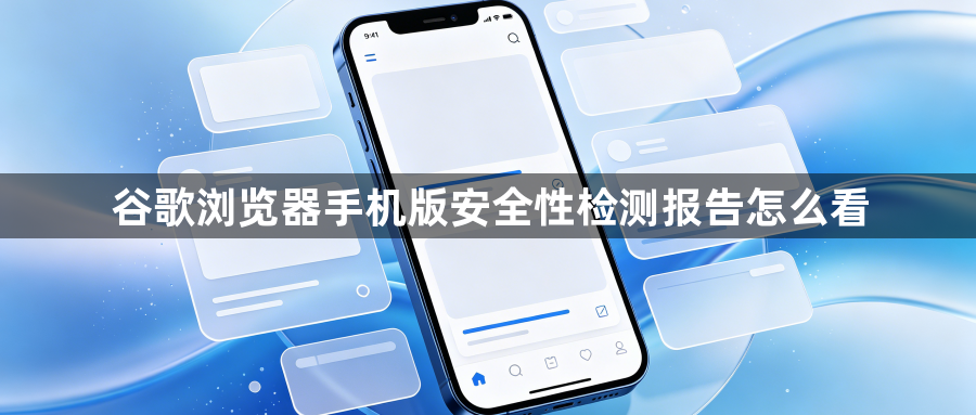 谷歌浏览器手机版安全性检测报告怎么看1